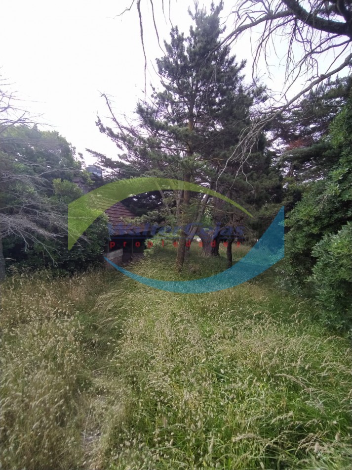 PROPIEDAD UNICA EN BARRIO NORTE - IDEA DESARROLLO DE CATEGORIA 