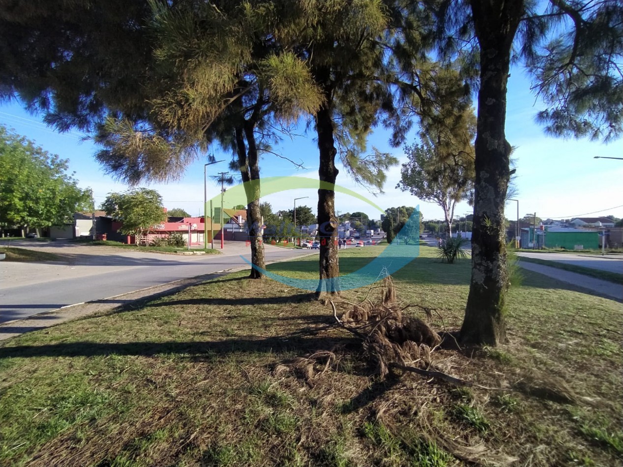 UNICO E INMEJORABLE LOTE EN VENTA SOBRE BOULEVARD SILVIO GESELL