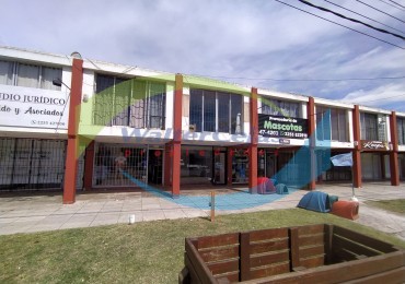 Local comercial en Alquiler 